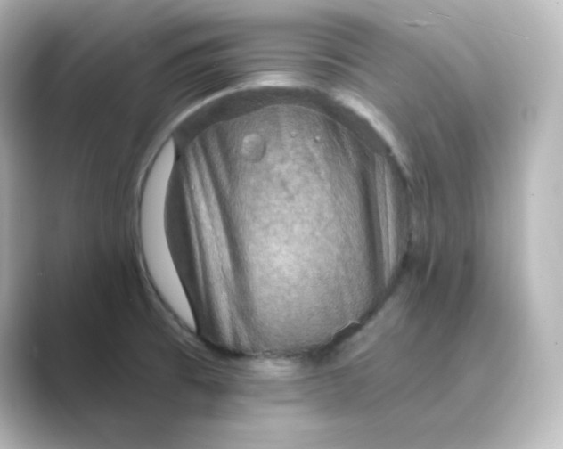 X0000088751473200706212106