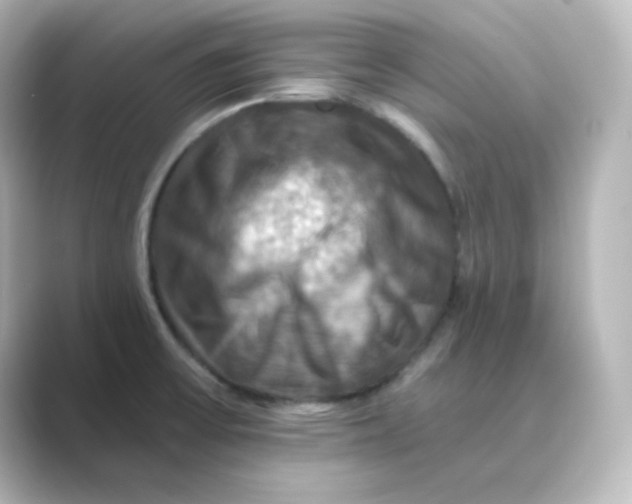 X0000088751475200706212106