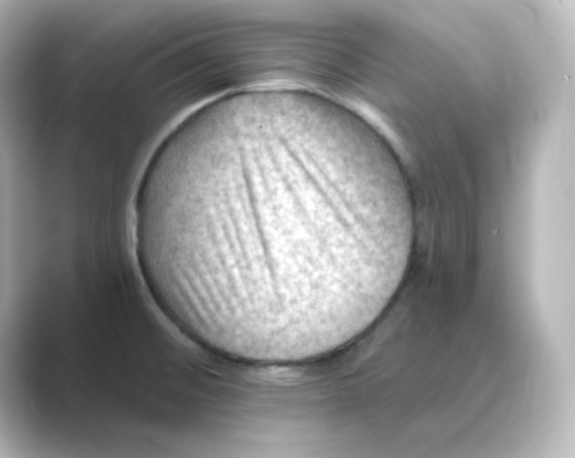 X0000088751476200706212106