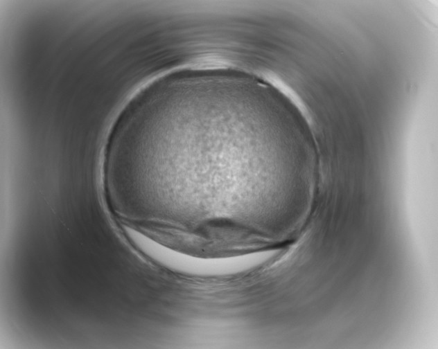 X0000088751477200706212106