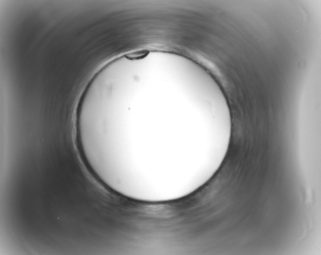 X0000088751479200706212106