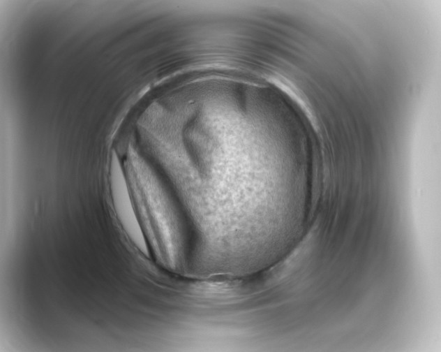 X0000088751481200706212106