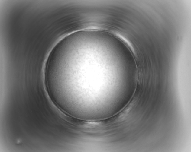 X0000088751483200706212106