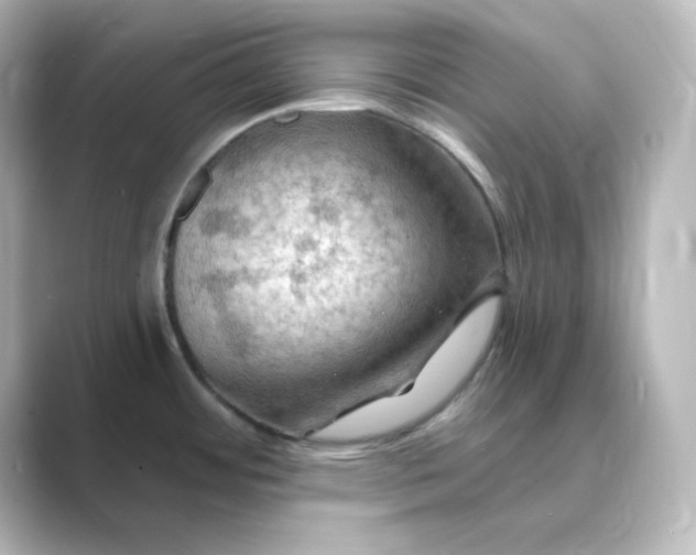 X0000088751484200706212106