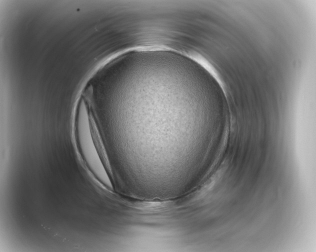 X0000088751485200706212106