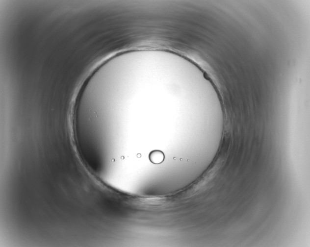 X0000088751486200706212106