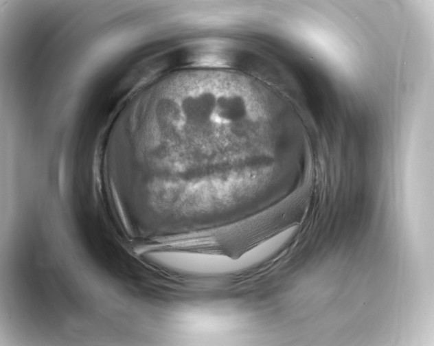 X0000088751487200706212106