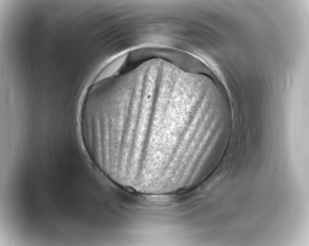 X0000088751488200706212106