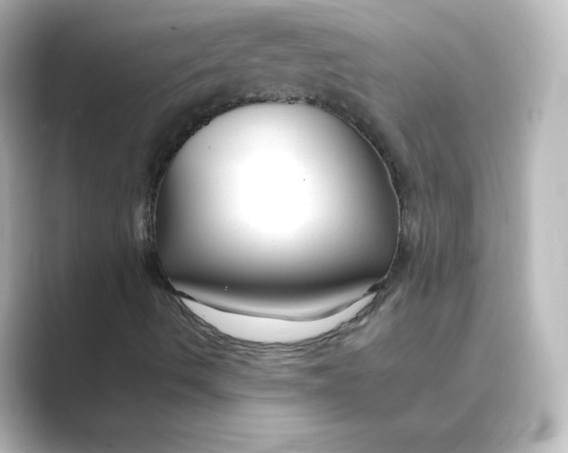 X0000088751490200706212105