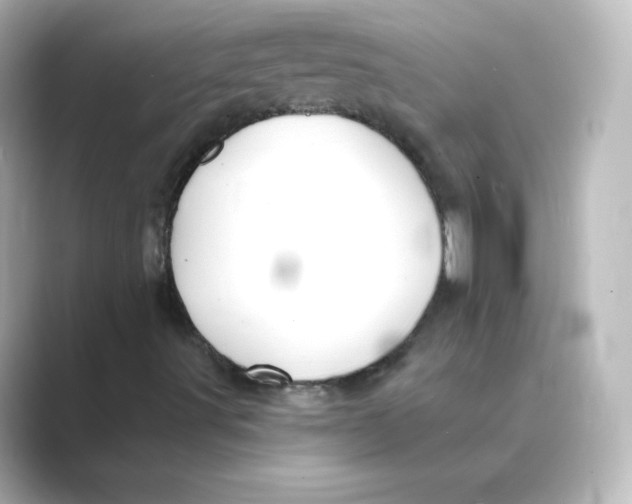 X0000088751491200706212105