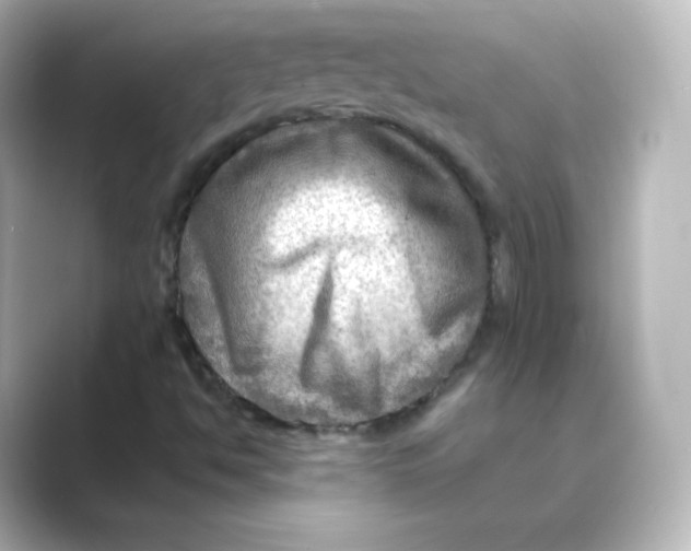 X0000088751494200706212105