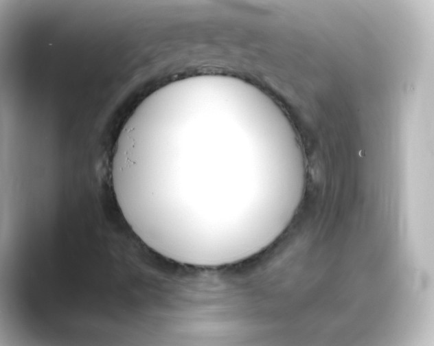 X0000088751495200706212105