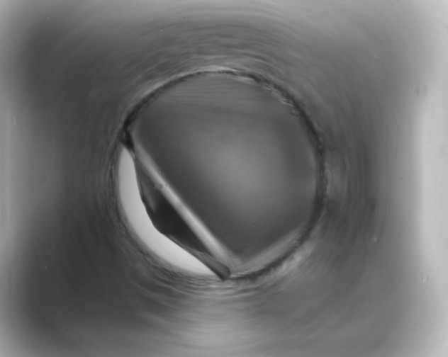 X0000088751497200706212105