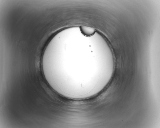 X0000088751499200706212105