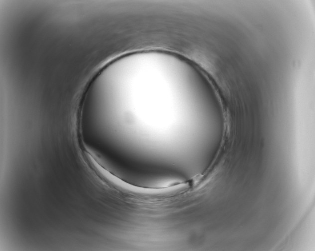 X0000088751500200706212105