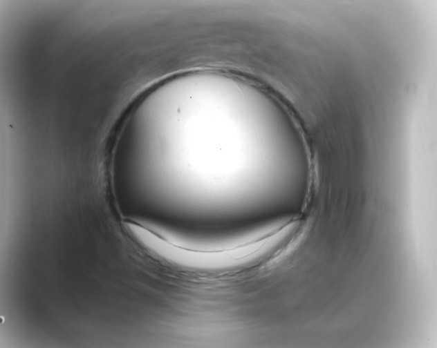 X0000088751501200706212105