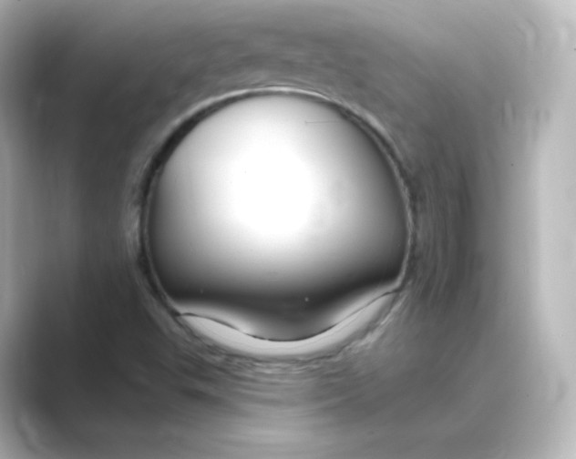 X0000088751503200706212105