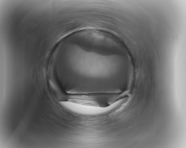 X0000088751505200706212105