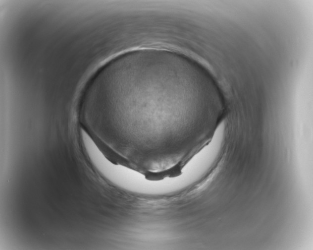 X0000088751506200706212105