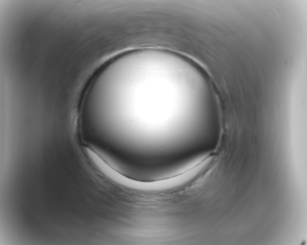 X0000088751507200706212105