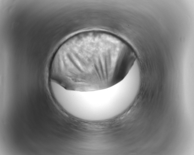 X0000088751508200706212105