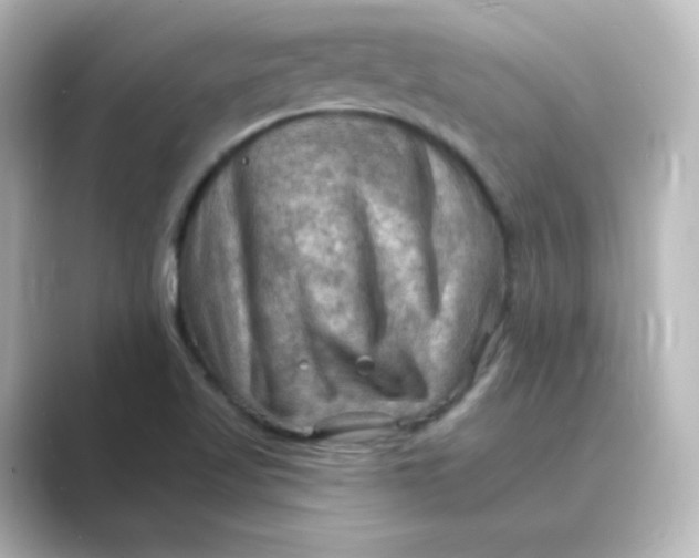 X0000088751509200706212105