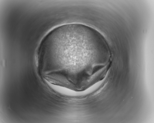 X0000088751510200706212105