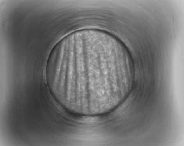 X0000088751513200706212105