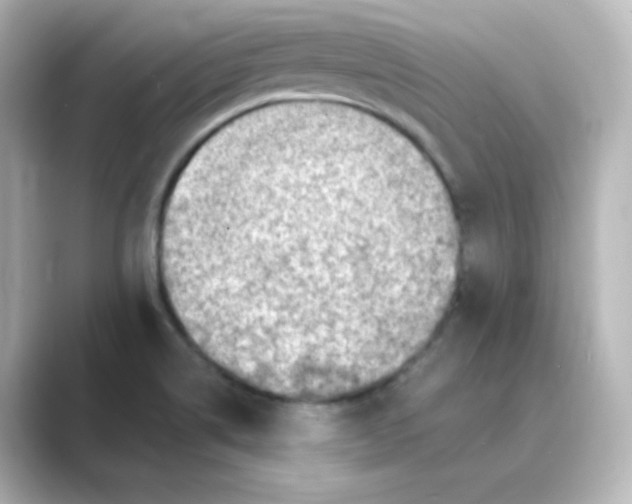 X0000088751514200706212105