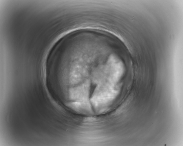 X0000088751515200706212105