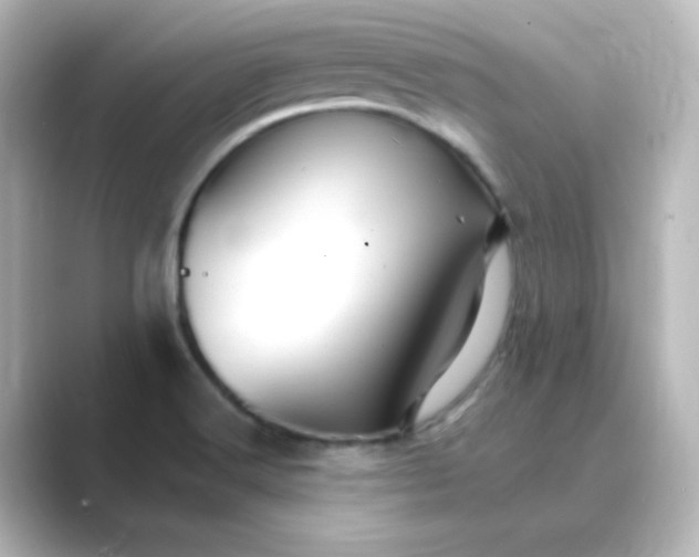 X0000088751516200706212105