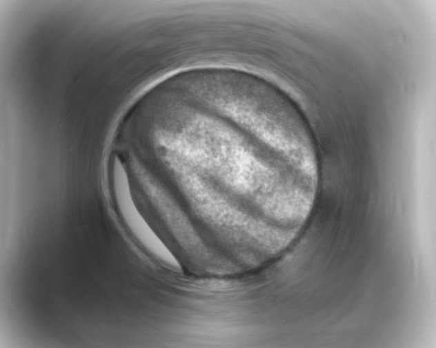 X0000088751517200706212105