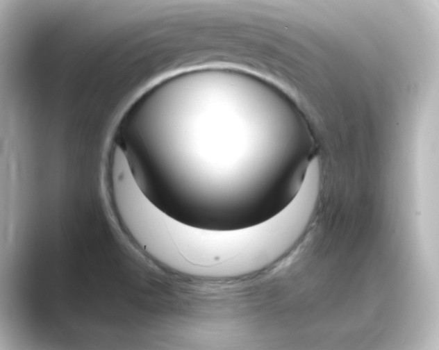 X0000088751518200706212105