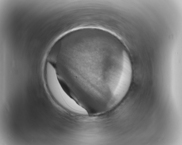 X0000088751519200706212105