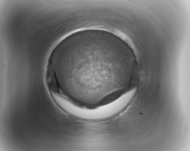 X0000088751520200706212105