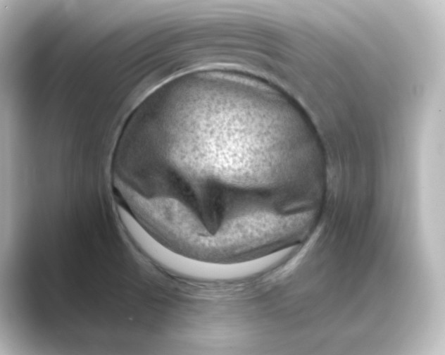 X0000088751521200706212105