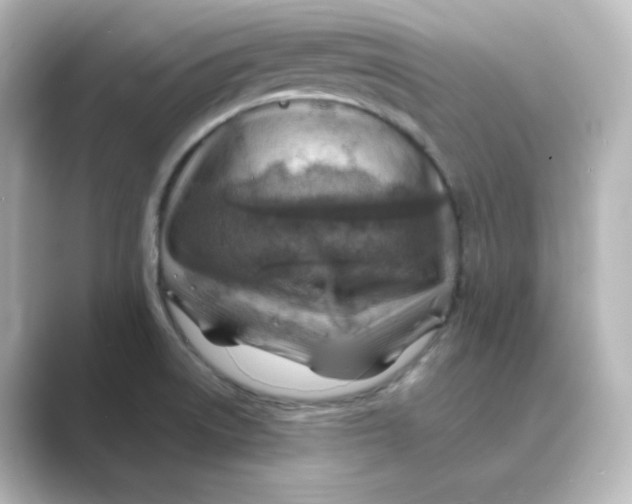 X0000088751522200706212105