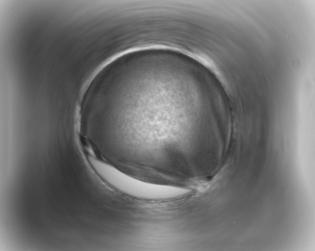 X0000088751524200706212105