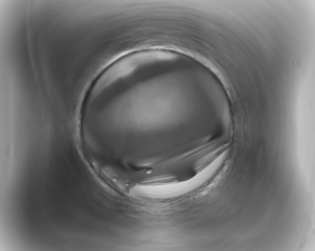 X0000088751525200706212105