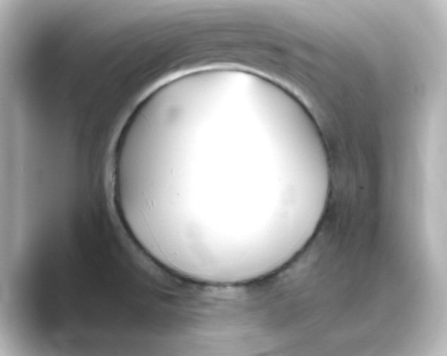 X0000088751526200706212105