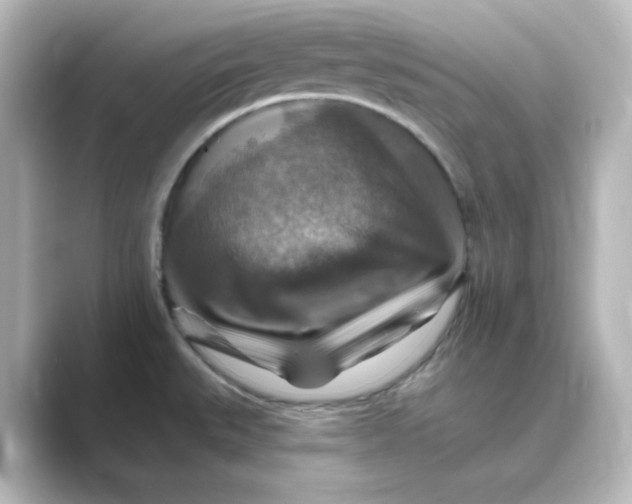 X0000088751527200706212105