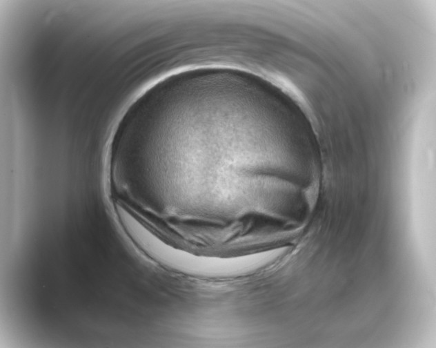 X0000088751528200706212105