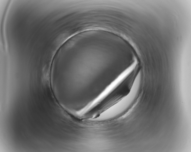 X0000088751529200706212105