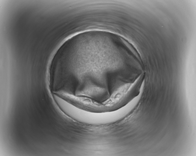 X0000088751531200706212106