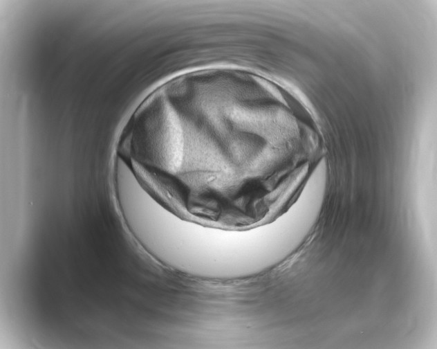 X0000088751532200706212106