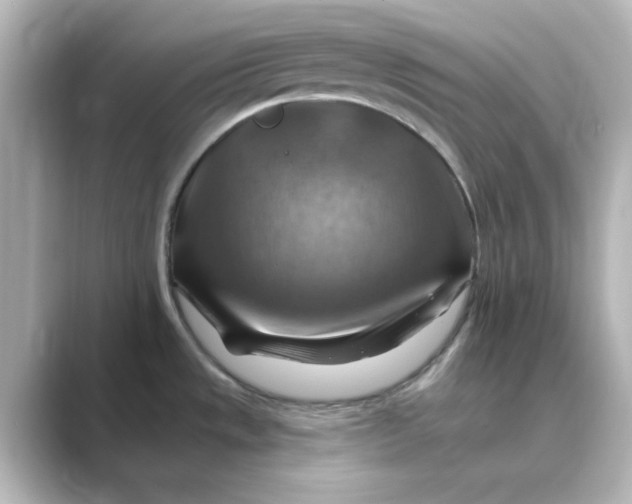 X0000088751533200706212106