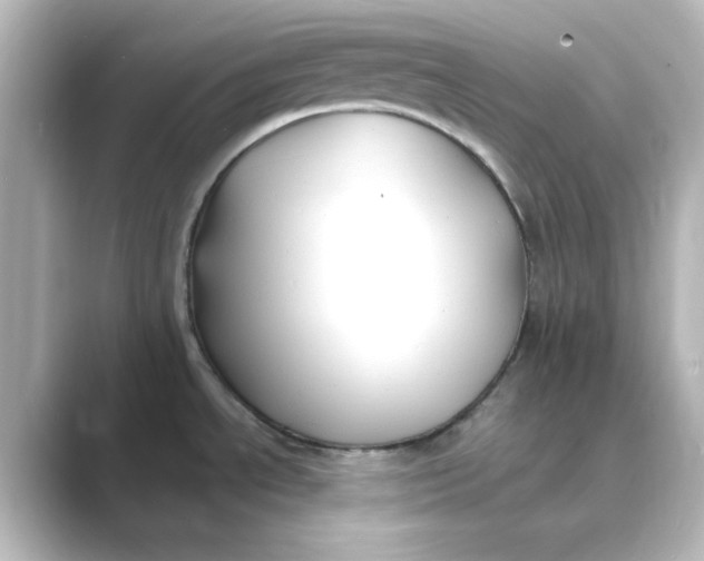 X0000088751534200706212106