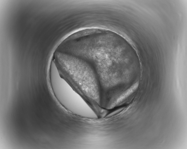 X0000088751536200706212106