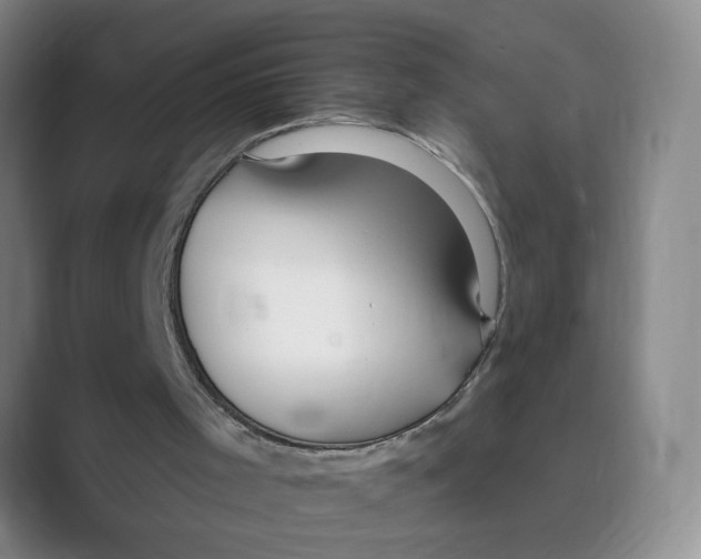 X0000088750001200706282214