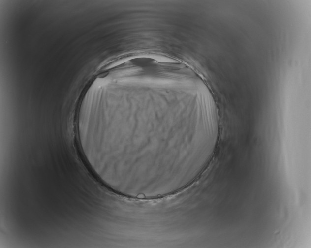 X0000088750002200706282214